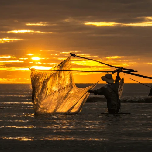 Pesca